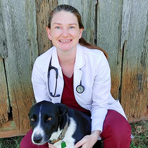 Dr. Keil Lycke, Ruckersville Veterinarian